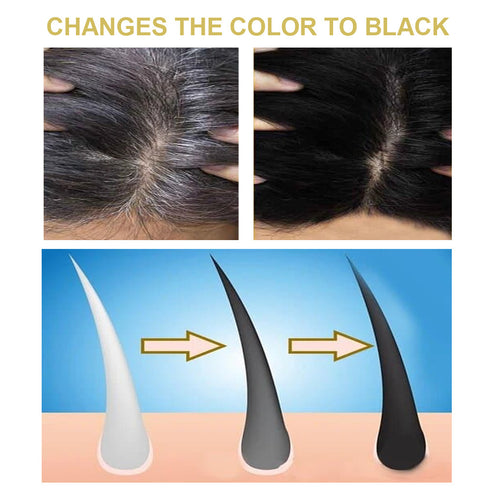 Polygonum multiflorum black hair shampoo - ROUTINE FASHION
